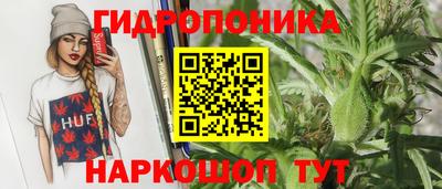 прущие грибы Можга